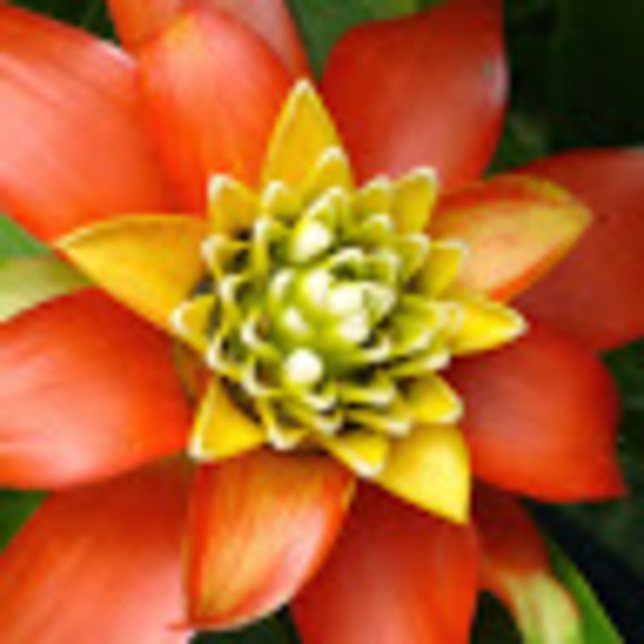 Meet your Posher, Laura - Picture 1 of 1